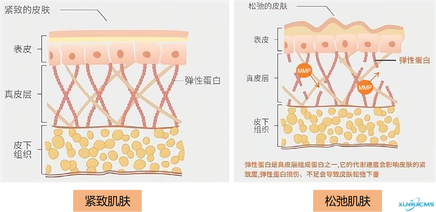 微信圖片_20240927163135