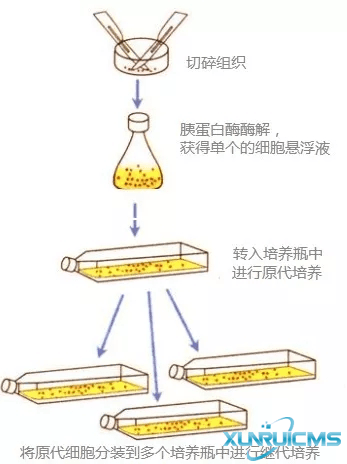 微信圖片_20241016153913