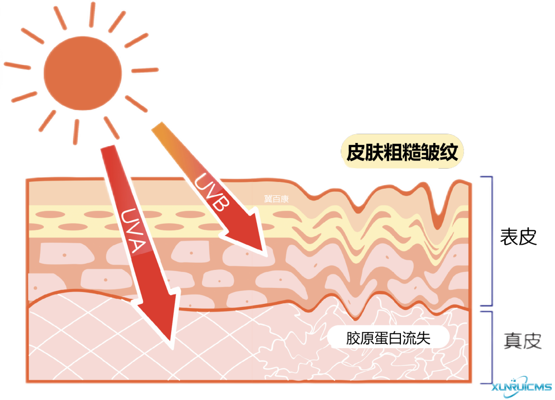 微信圖片_20241023134001