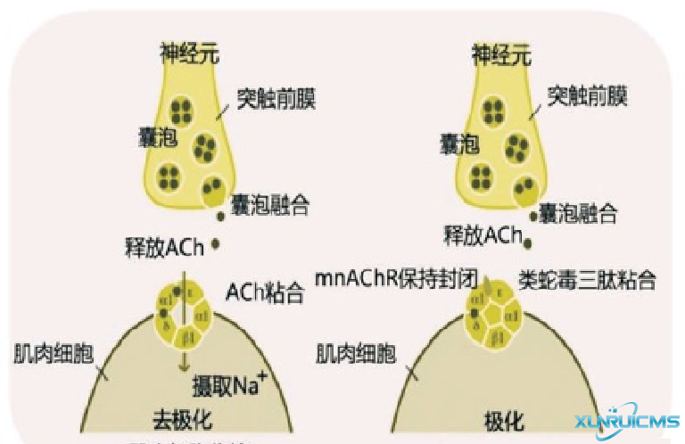 微信圖片_20241024151228