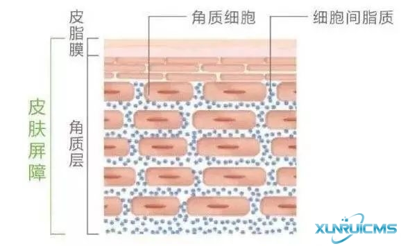 微信圖片_20241024163840