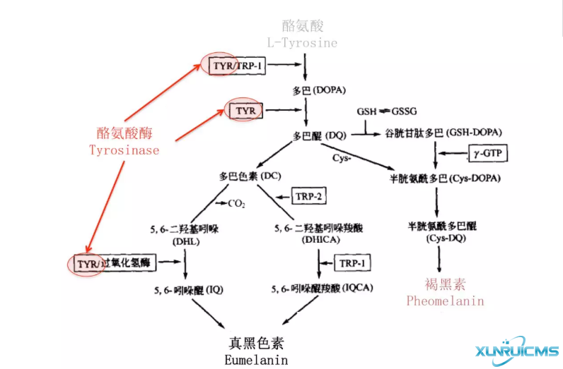 微信圖片_20241024211626