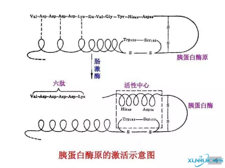 微信圖片_20241029135842